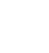 The Athlete's Foot